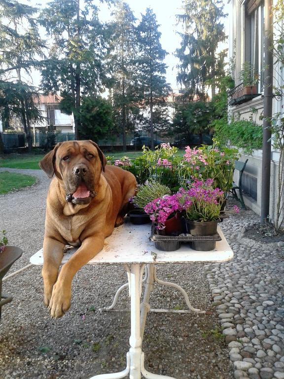 Invilla B&B Варезе Екстериор снимка